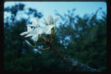 [Untitled]