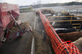Beef research and education at the University of Minnesota, Rosemount Research and Outreach Center.