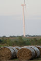 Biomass and wind power, alternative energy research at the University of Minnesota, West Central Research and Outreach Center, Morris.
