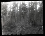 Roberts family in Pines on a bluff at the South end of the East arm of Lake Itasca