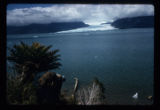 Glacier from Ofqui