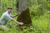Tony D'Amato, University of Minnesota forest ecologist