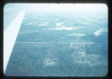 Tobacco fields shaded with cheesecloth west of Tallahassee, Florida