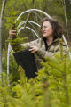 Carrie Pike with spruce subjected to different levels of early spring warming to simulate climate change and its effect on growth.