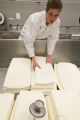 Making cheddar cheese in the Pilot Plant in the Food Science and Nutrition Building, St. Paul campus, University of MInnesota.