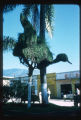 Topiary art with Juniperus species