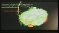 Structure of the Afferent Terminals in Terminal Ganglion of a Cricket and Persistent Homology
