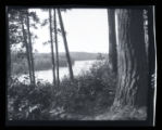 View northwest on East arm of Lake Itasca from point near Douglas Lodge