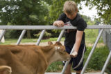 Skiba family Jersey dairy farm, "Diamonds Farm" in Isanti County, between Cambridge and North Branch.