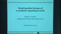 Model-guided Design of a Synthetic Signaling Switch