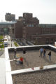 Installing a bee colony on the roof of the Weisman Art Museum, University of MInnesota.