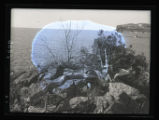 Rocky shoreline and islands on Lake Superior