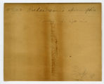 Richardson's spermophile, one sitting up, right view