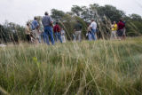 Turf grass research on St. Paul Campus, University of Minnesota.