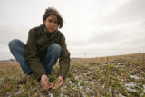 Adria Fernandez, cold hardy legume research, winter peas.
