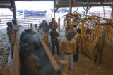 Beef research and education at the University of Minnesota, Rosemount Research and Outreach Center.