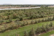Apple Junction orchard in Washington County, Minnesota.