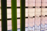 Brett Barney, University of MInnesota researcher in the Department of Bioproducts and Biosystems Engineering.