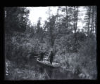 Nicollet Creek about 15 yards from Lake Itasca