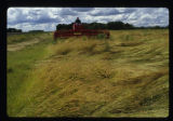 Roseau, Minnesota, July, 1999.