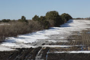 Field windbreak, snow drift and soybean residue in March, Redwood County, Minnesota.