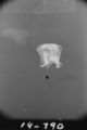 Flight 19 image 790