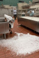 Making cheddar cheese in the Pilot Plant in the Food Science and Nutrition Building, St. Paul campus, University of MInnesota.