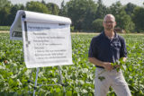 Soybean plots of University of Minnesota soybean researcher Seth Naeve for soybean production research.
