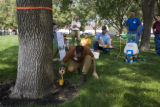 Emerald ash borer control demonstration on St. Paul Campus of the University of MInnesota.
