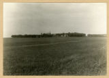 Farmhouse and buildings well sheltered by windbreak