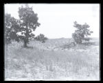 Sand dunes