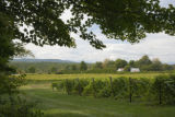 Lincoln Peak Vineyard and Winery, New Haven, Vermont.