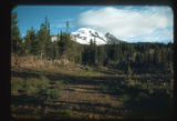Mount Adams from Bird Creek Meadows