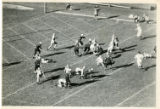 Football Game, Wyoming versus Minnesota