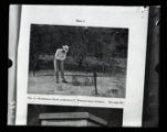 Bird banding, Mr. Prentiss Baldwin, image from a printed publication