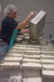Making cheese in the pilot plant at the University of MInnesota, Food Science and Nutrition building.