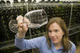 Katie Cook, Enology Project Leader doing sensory evaluation of Minnesota wines at the Horticultural Research Center.