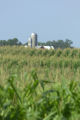 Corn field and farm buildings in southwestern Minnesota.