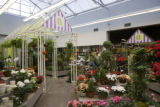 Chengyan Yue, holds Bachman Chair, Horticulture Marketing. At Bachman's store in Eden Prairie.