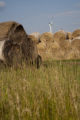 Biomass and wind power, alternative energy research at the University of Minnesota, West Central Research and Outreach Center, Morris.