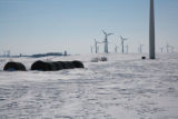 Round hay bales and wind turbines in winter on Buffalo Ridge, Pipestone County, Minnesota.