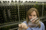 Katie Cook, Enology Project Leader doing sensory evaluation of Minnesota wines at the Horticultural Research Center.