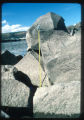 North Dalles ferry approach [Illegible]. High water 1986 deposits on packs on bank of Columbia 11:45 pacific daylight time. Centimeter scale. Zero is at water level of this date.