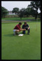 Turf grass