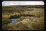 Northeast of Penrith, England