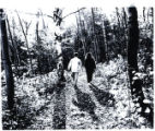 Students enjoying Bagley Nature Area on the University of Minnesota Duluth campus