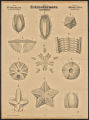 (Typus) Echinodermata. Stachelhäuter. (Classe) Pelmatoza. Gestielte Stachelhäuter. (Ordnung) Blastoidea. Knospenstrahler