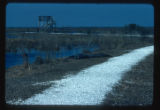 Sabine Wildlife Refuge South of Lake Charles