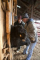 Beef research and education at the University of Minnesota, Rosemount Research and Outreach Center.