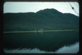 Developing muskeg across channel